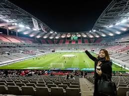 梅西在2026世界杯对阿尔及利亚的精彩进球解析